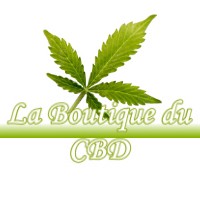 LA BOUTIQUE DU CBD CASSAGNE 